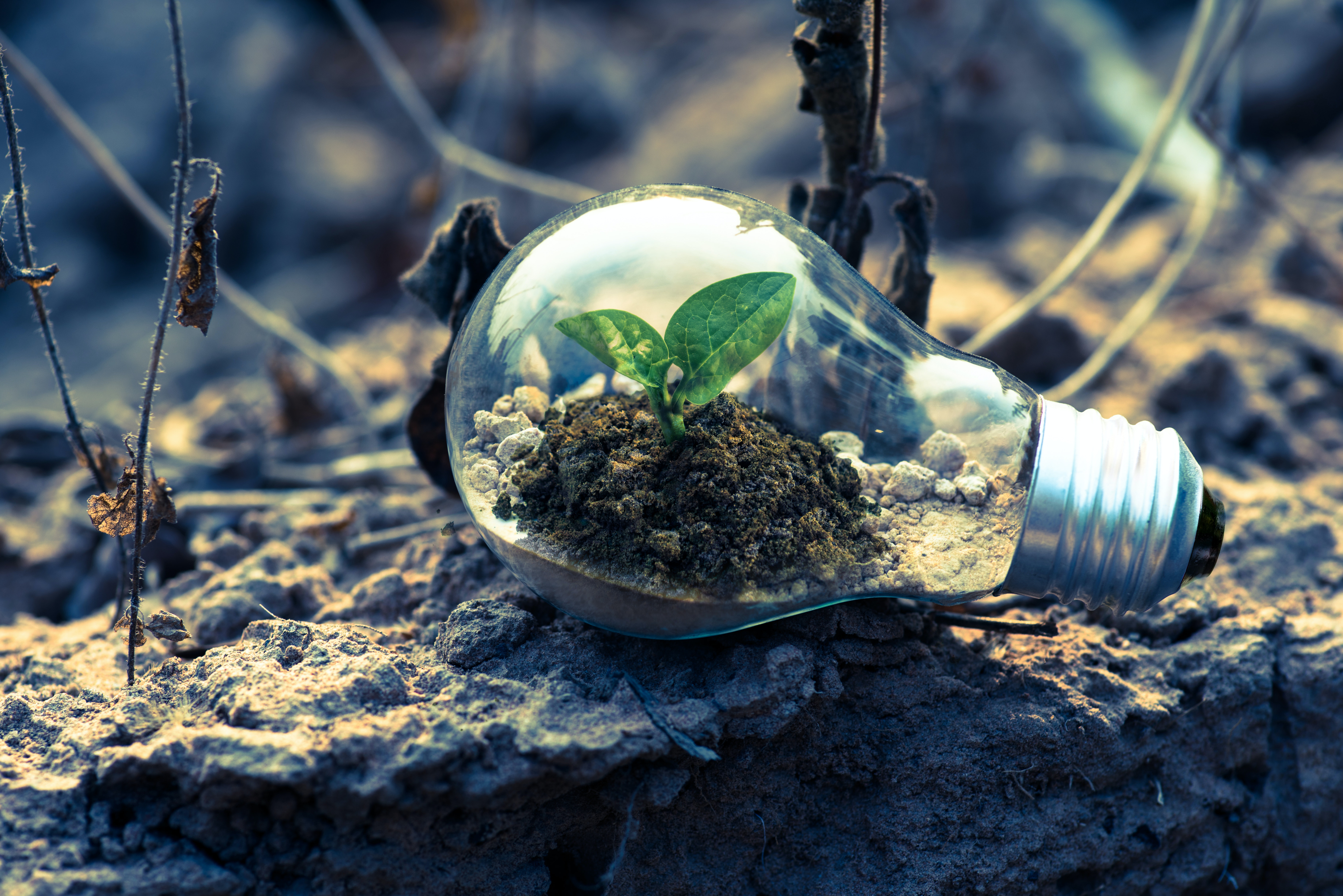 Equipping the Transition Generation – A Whole School Approach to Sustainability Education LM-E002