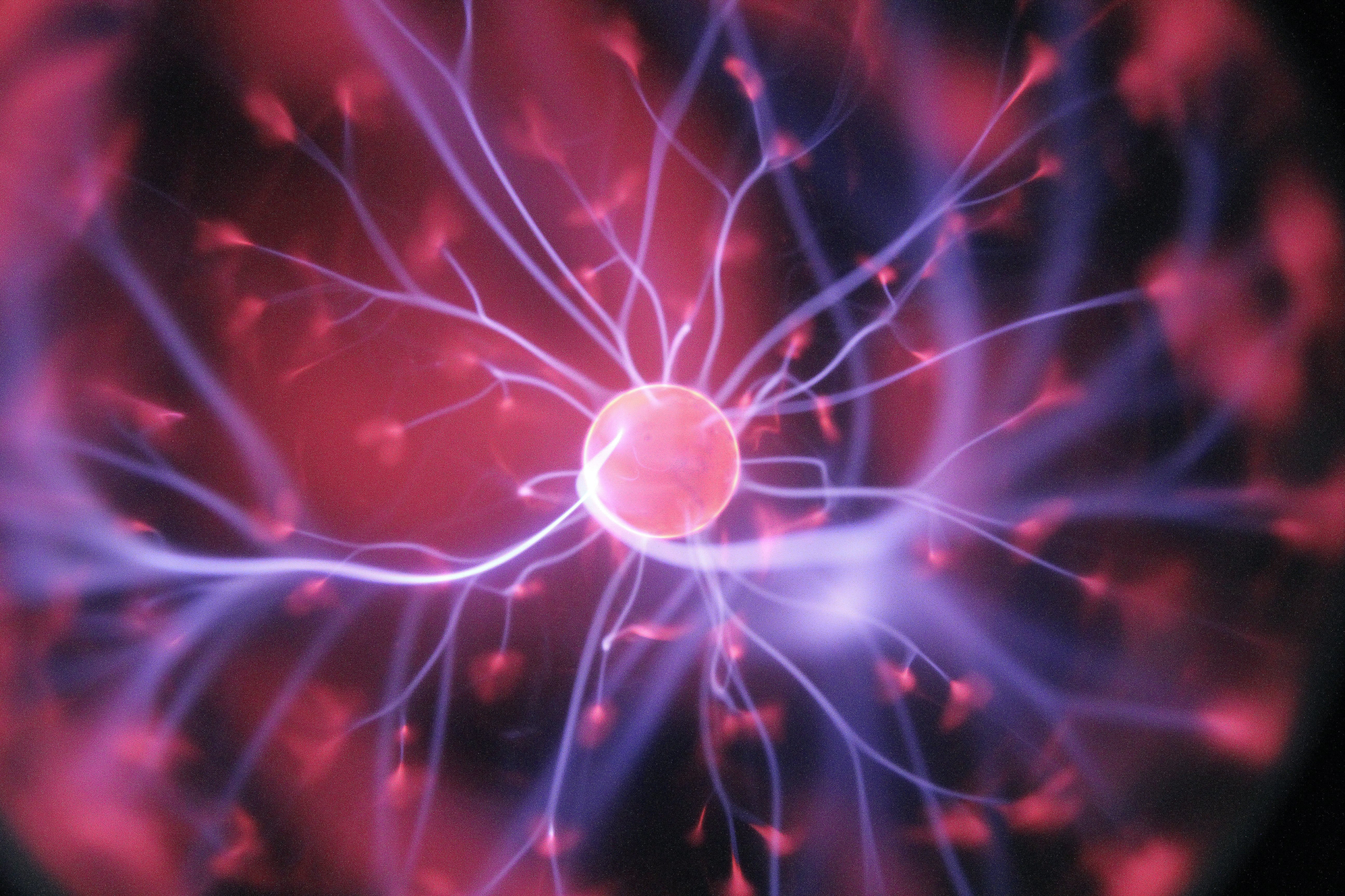Neuroscience in Education, Self harm, Suicide, Third Culture Children SS-E001